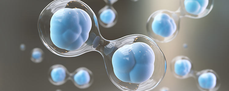 Stem Cell Therapy Specialist Near Me in Frisco and Fort Worth TX Stem Cell Therapy Specialist Near Me in Frisco and Fort Worth TX